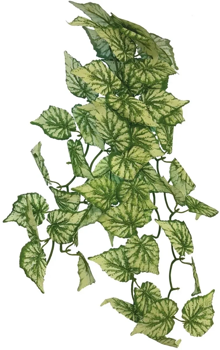 Plant Hanging Hedera - Kunstplant Terrarium by Repto in Color – product photo