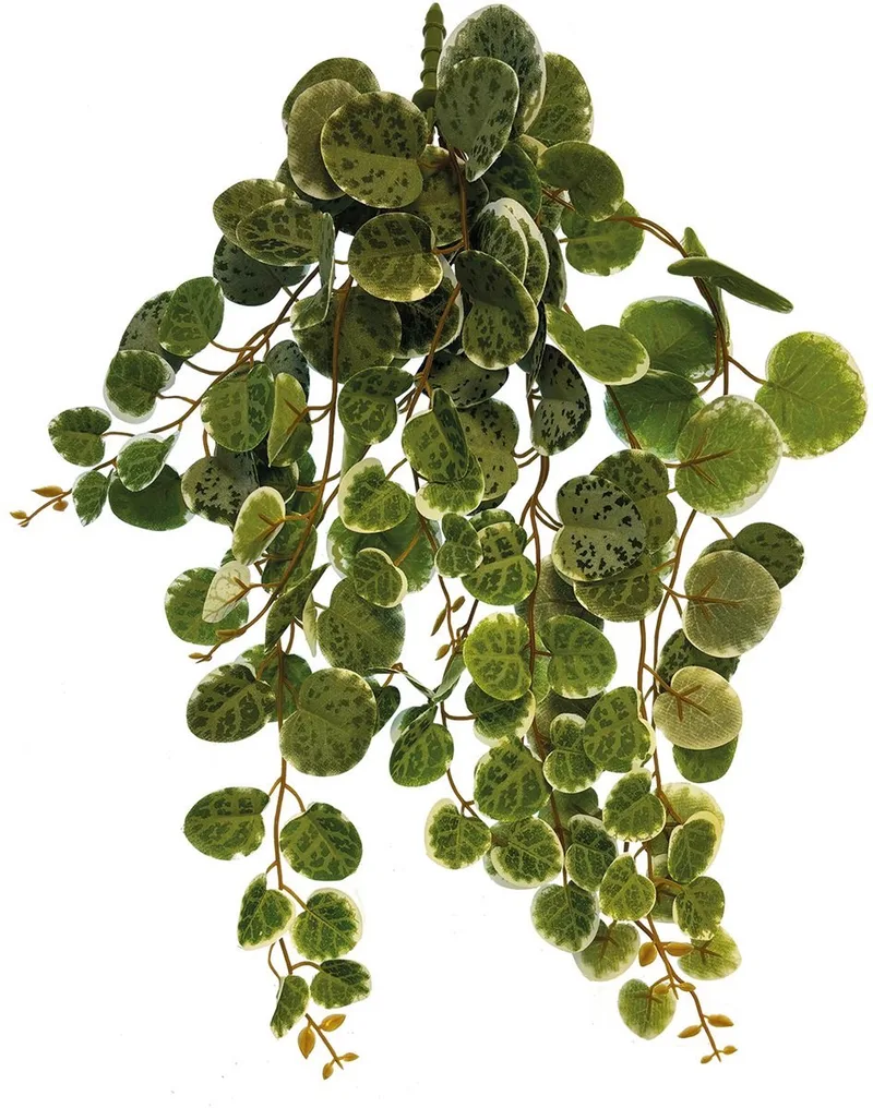 Plant hanging Round Leaves - Kunstplant Terrarium de Repto en Color – photo produit