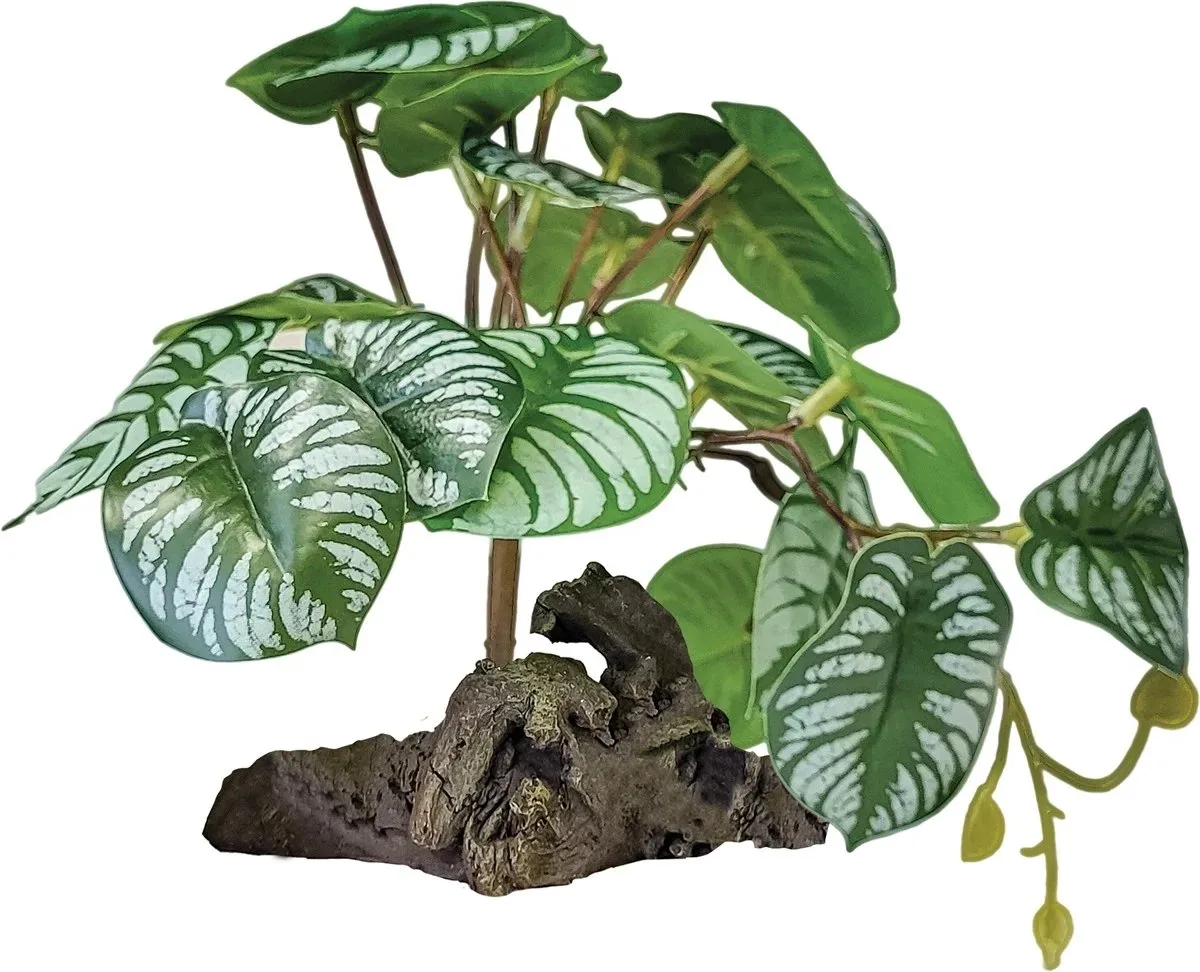 Plant On Deco Begonia terrariumkunstplant 19 cm de Repto en Vert – photo produit