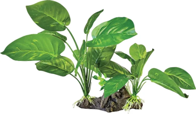 Plant On Deco Dark Green kunstplant 26x16x22 cm voor terrarium von Repto in Grün – Produktfoto