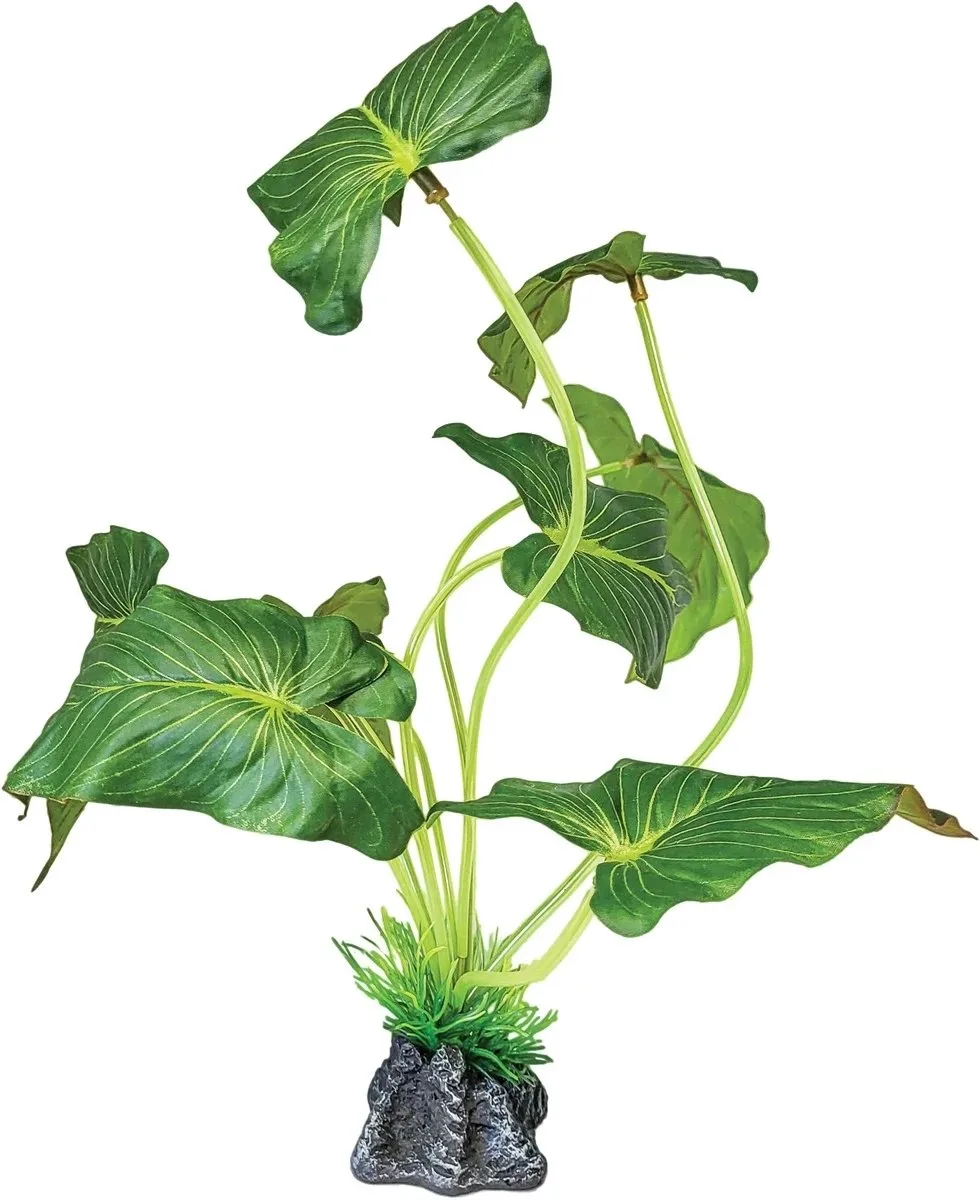 Plant Standing Elephant Ear terrariumkunstplant 35 x 15 x 35 cm by Repto in Green – product photo
