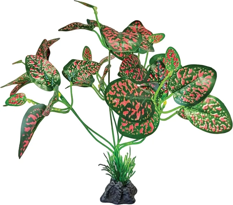 Plant Standing Red/Green terrarium kunstplant 32x21x29 cm by Repto in Green – product photo