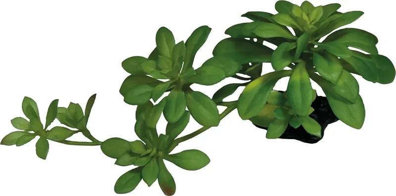 Plant Succulent Green XL - Kunstplant Terrarium de Repto en Vert – photo produit