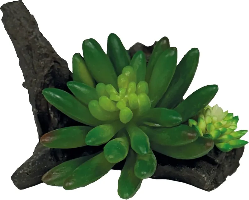 Plant Succulent On Deco 10 x 13 x 8 cm kunstplant voor terrarium de Repto en Vert – photo produit