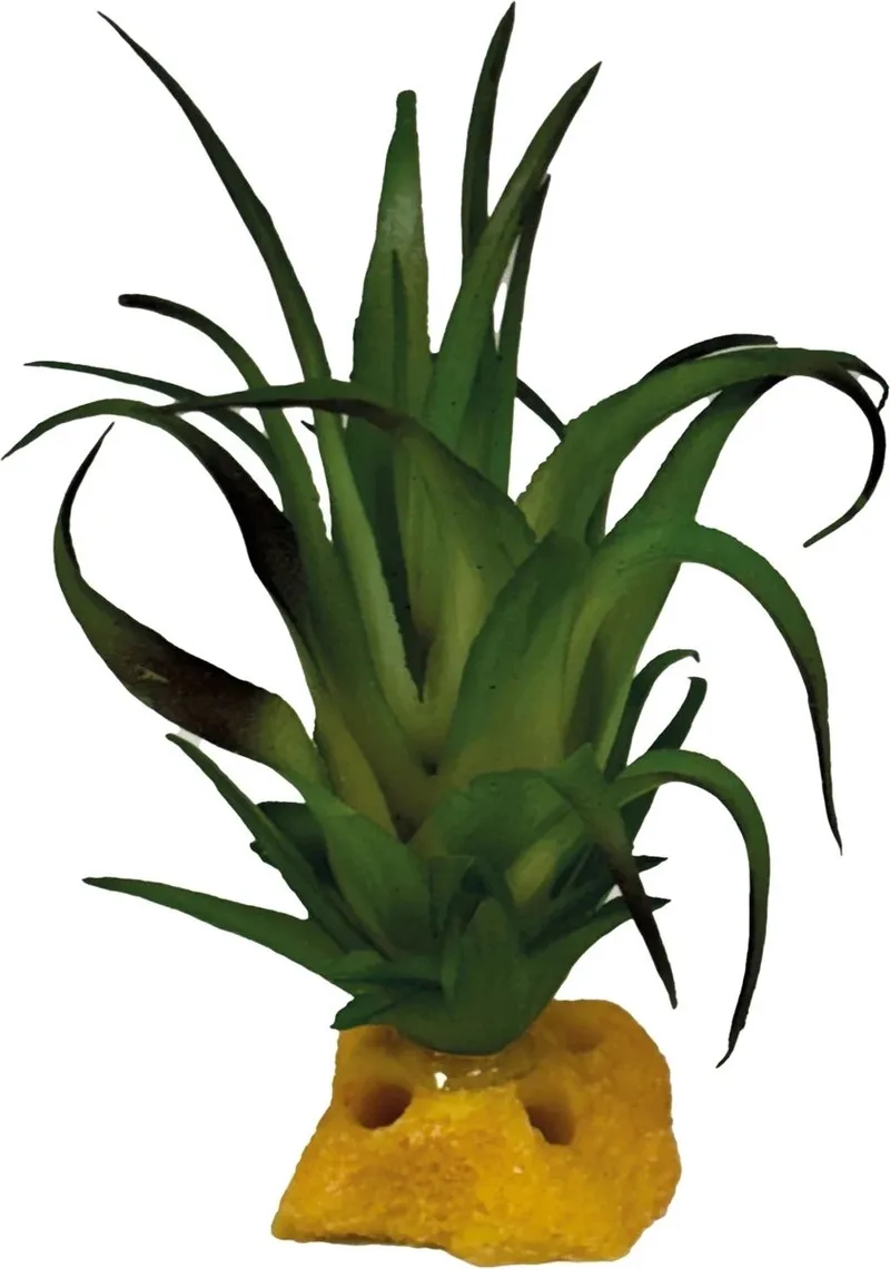 Plant Tillandsia kunstplant terrarium 6 cm voor reptielen en amfibieën de Repto en Vert – photo produit