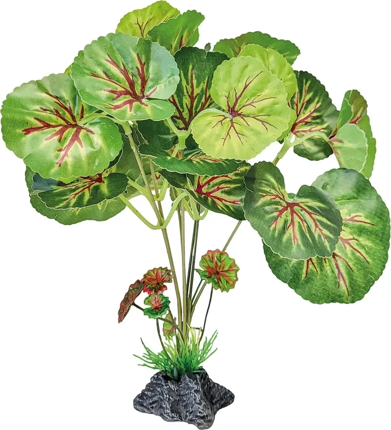Staande terrariumplant met ronde bladeren | 46 cm | onderhoudsvrije schuilplant by Repto in Red – product photo