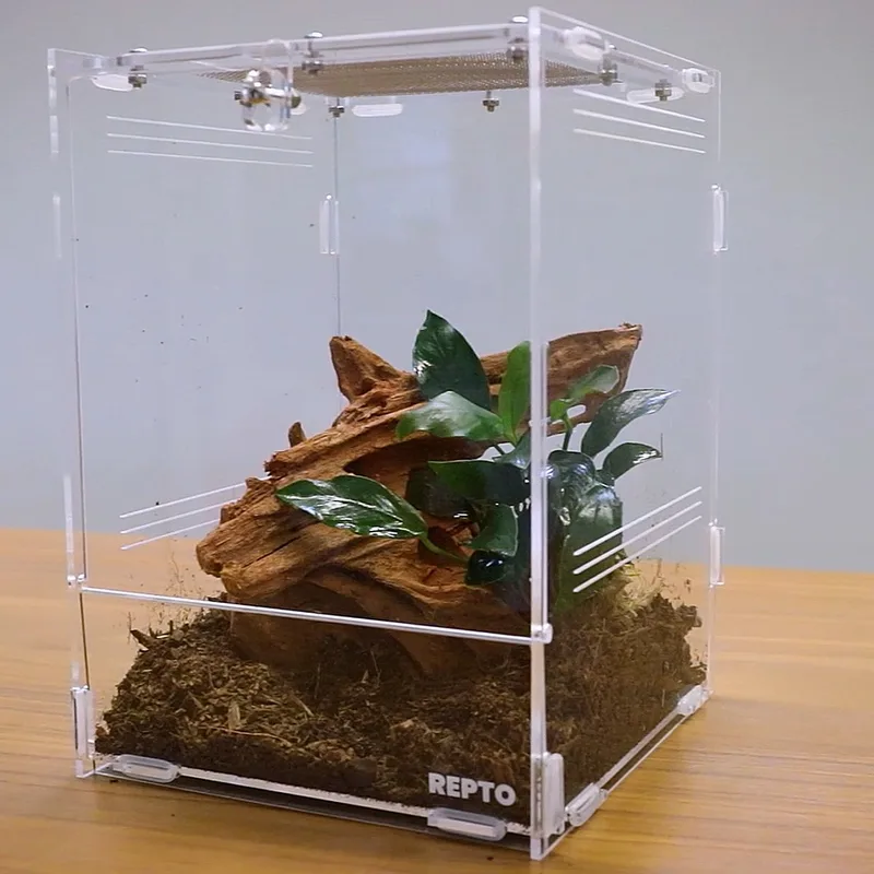 Terra Clear - Insecten Terrarium 20 x 19 x 29 de Repto en Color – photo produit