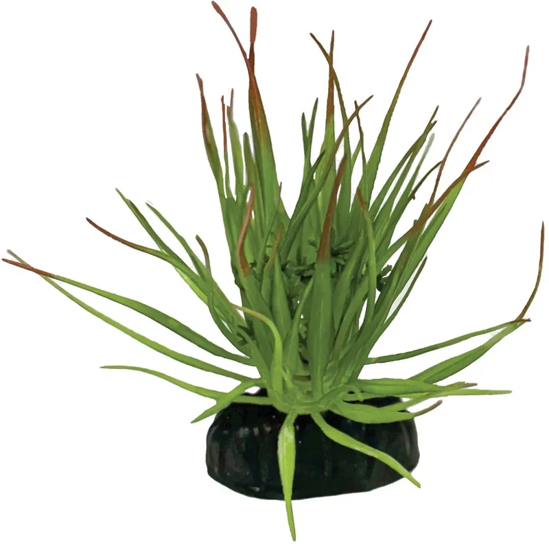 Tillandsia Ion terrariumkunstplant 7 x 8 x 11 cm schuilplaats voor reptielen en amfibieën by Repto in Black – product photo