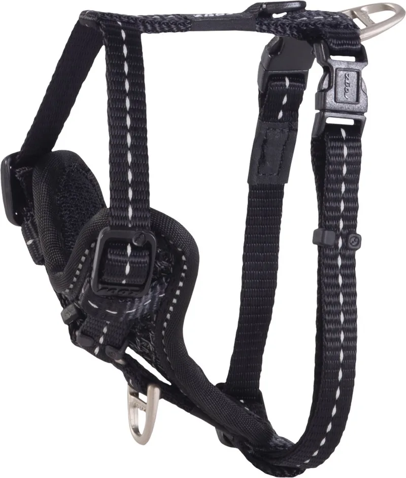 Control Harnas / Hondentuigje - Nylon - S - Borstomtrek: 23 - 37 cm (GELIEVE ALVORENS BESTELLEN OPMETEN) by Rogz in Black – product photo