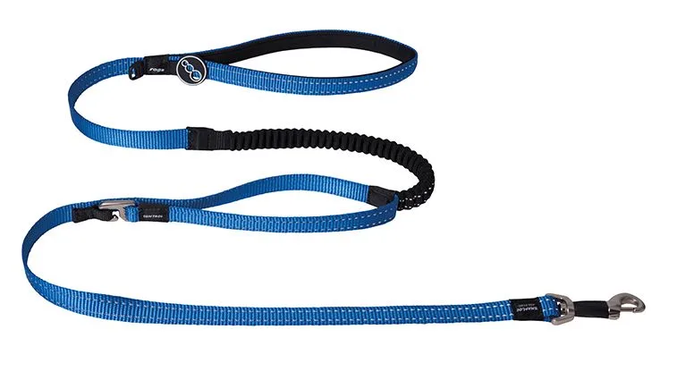 Control Lead Blauw by Rogz – product photo
