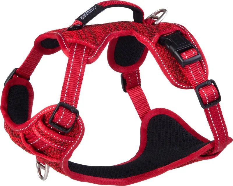 Explore Tuig Gevoerd - Hondenharnas - M 45-70 Cm by Rogz in Red – product photo