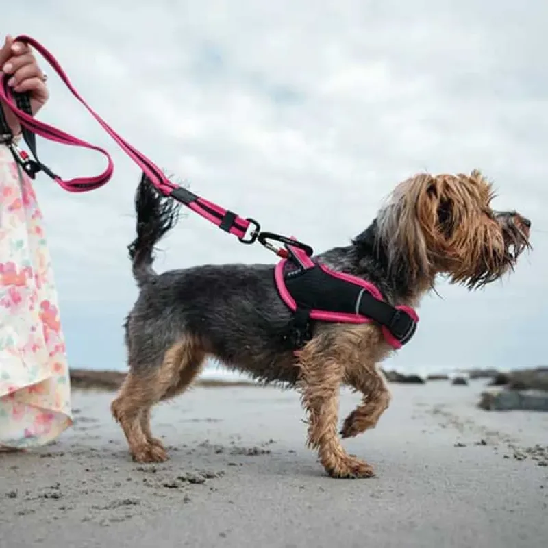 Harnais Pour Chien Airtech Sjst87 K von Rogz – Produktfoto 3 von 4