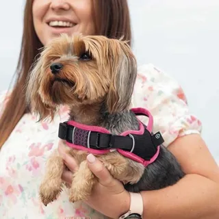 Harnais Pour Chien Airtech Sjst87 K von Rogz – Produktfoto 4 von 4