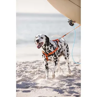 Harnais Pour Chien Classic Special Ssj06 by Rogz – product photo 2 of 2
