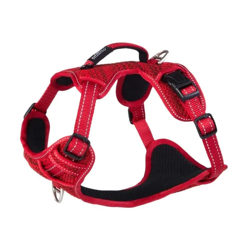 Harnais Pour Chien Explore Sjx05 de Rogz – photo produit