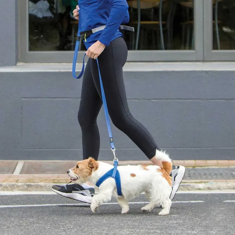 Harnais Pour Chien Fast Fit Sjq63 by Rogz – product photo 3 of 3