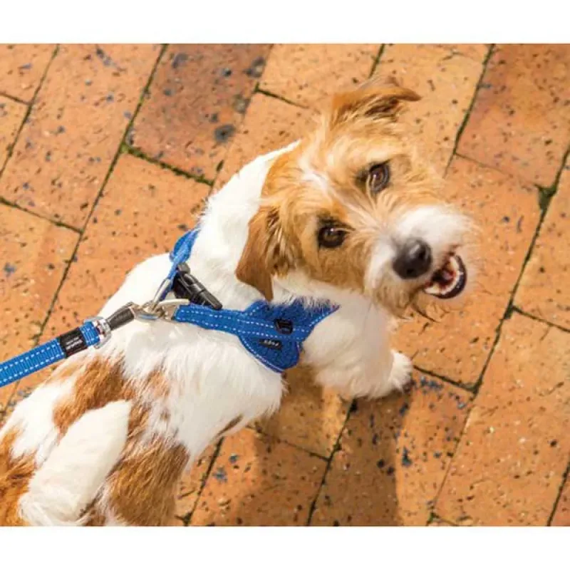 Harnais Pour Chien Fast Fit Sjq63 by Rogz – product photo 2 of 3