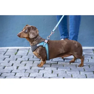 Harnais Pour Chien Fast Fit Urban Sjq271 de Rogz – photo produit 3 sur 3