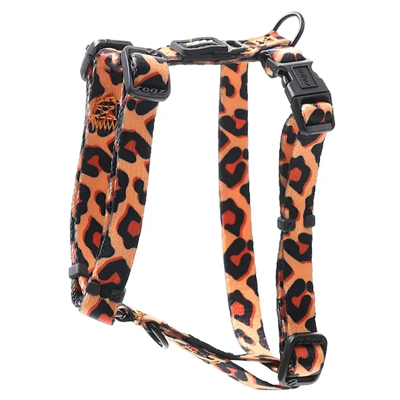 Harnais Pour Chien Fusion Safari von Rogz – Produktfoto