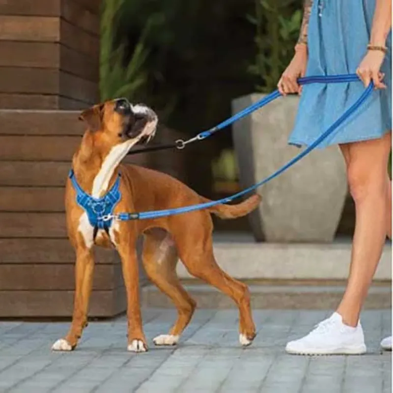 Harnais Pour Chien Stop Pull Spsj06 von Rogz – Produktfoto 2 von 2