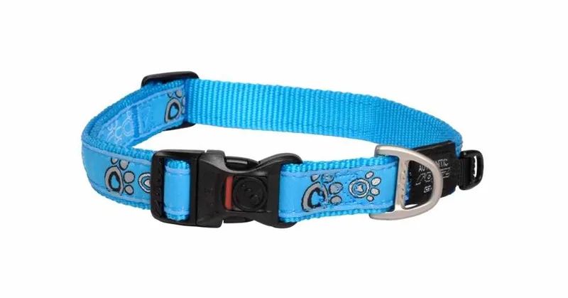 Hondenhalsband Fancy Dress Paws Maat XXL by Rogz in Turquoise – product photo