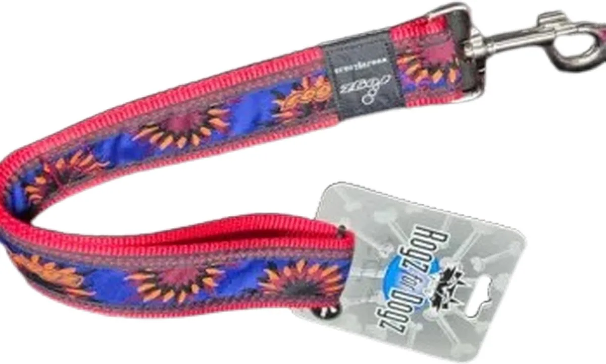 Hondenlijn Rogz Beach Bum Lijn Royal Sunrise-maat L de Rogz en Bleu, Orange – photo produit