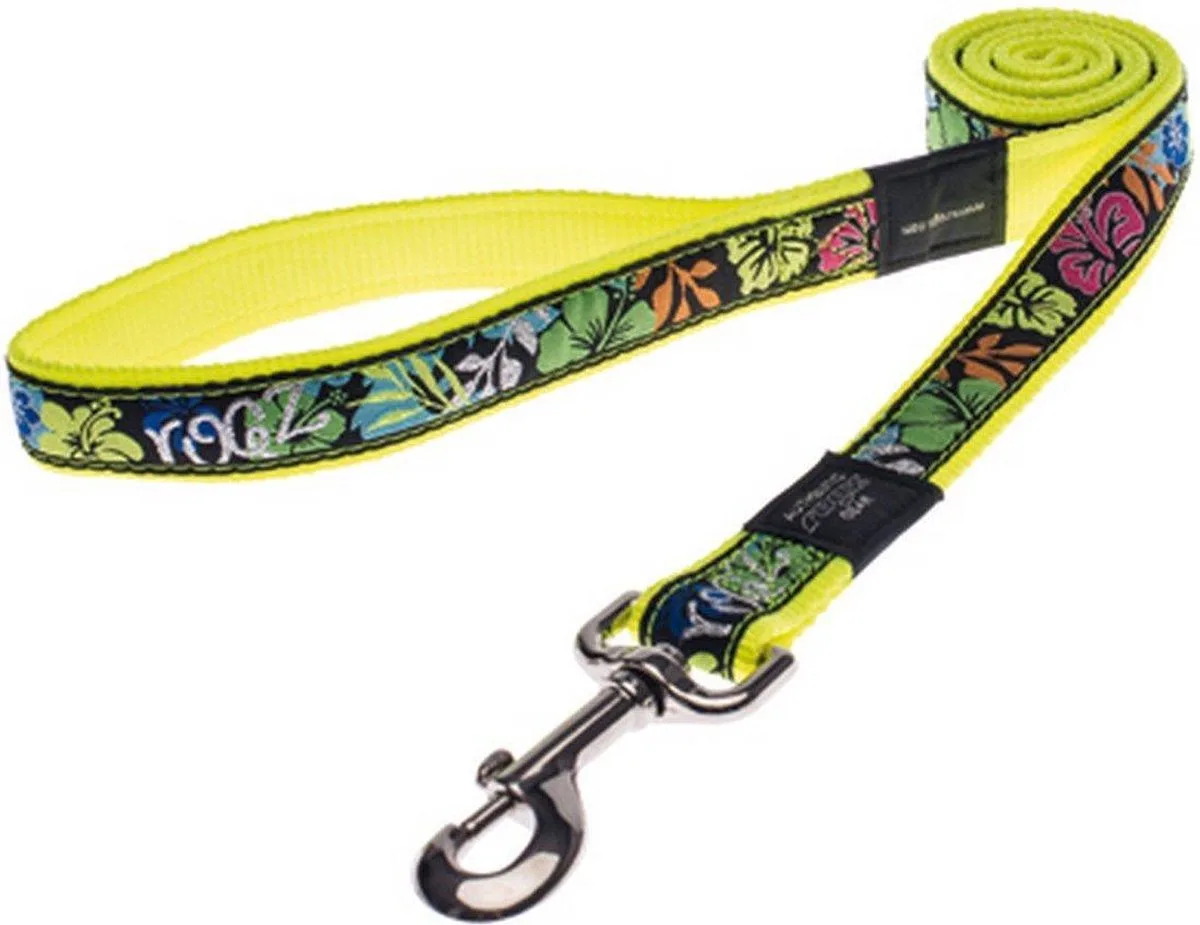 Hondenlijn Rogz Jelly Bean mul. Dayglo Floral -maat S de Rogz en Multicolore – photo produit