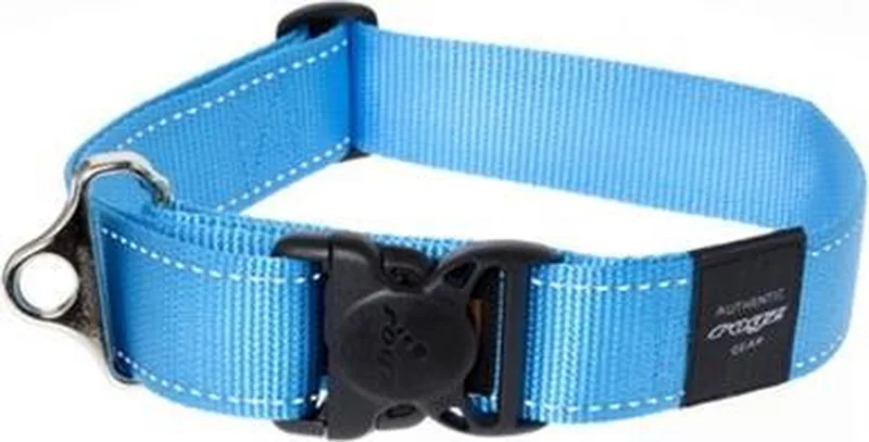 Landing Strip Hondenhalsband - 40 mm x 50-80 cm - Turquoise by Rogz in Blue – product photo