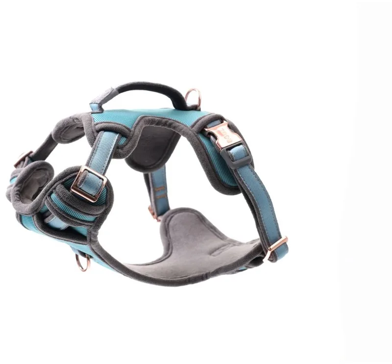 Urban Explore Tuig Maan - Hondenharnas - M by Rogz in Turquoise – product photo