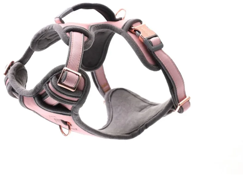 Urban Explore Tuig Roze Blos - Hondenharnas - M by Rogz in Grey – product photo