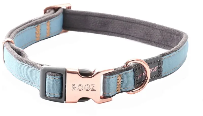 Urban Halsband Turquoise - Hondenhalsband - L von Rogz – Produktfoto