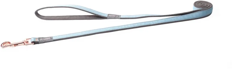 Urban Lijn Turquoise - Hondenriem - L by Rogz – product photo