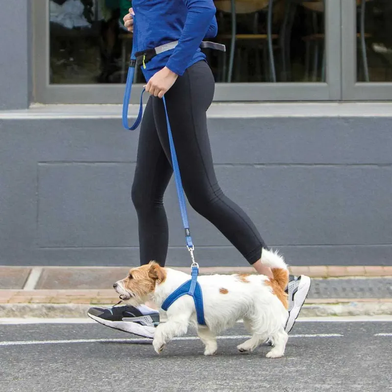 Utility Fast Fit Tuig - Hondenharnas - 58 cm by Rogz in Blue – product photo 3 of 3