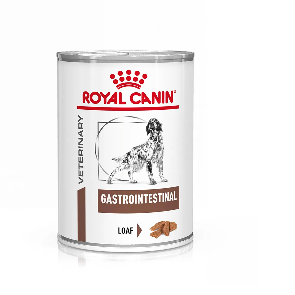 12x400g Gastrointestinal Mousse Royal Canin Veterinary Hondenvoer de Royal Canin – photo produit