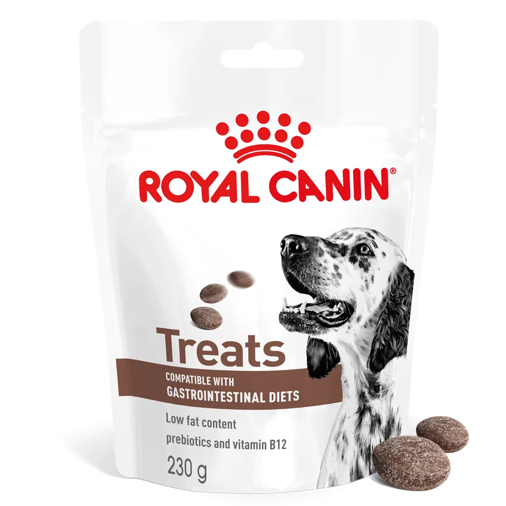 230g Royal Canin GastroIntestinal Treats hondensnacks van Royal Canin – productfoto