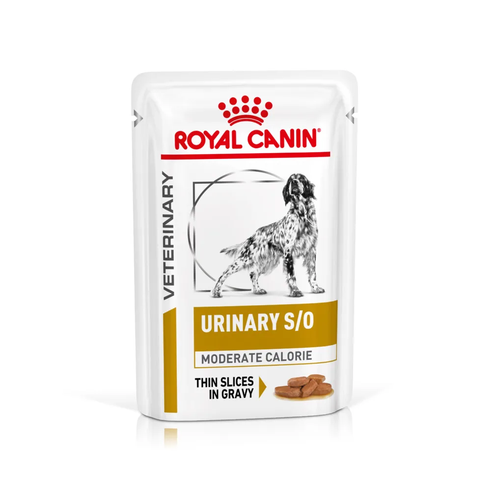 24x Royal Canin Hondenvoer Nat Urinary S/O Moderate Calorie 100 gr van Royal Canin – productfoto