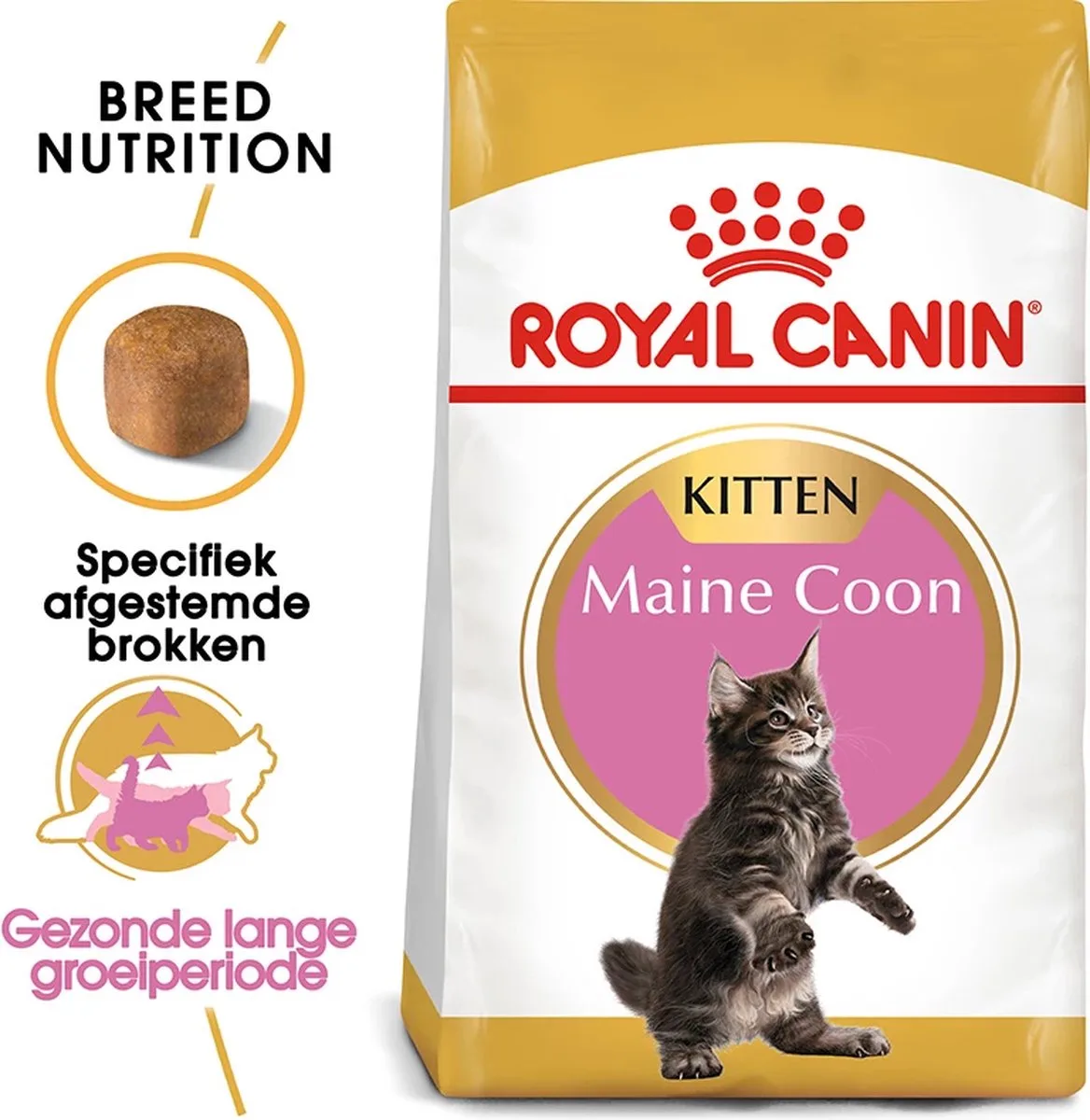 2x ROYAL CANIN Maine Coon Kitten 4 kg by Royal Canin – product photo