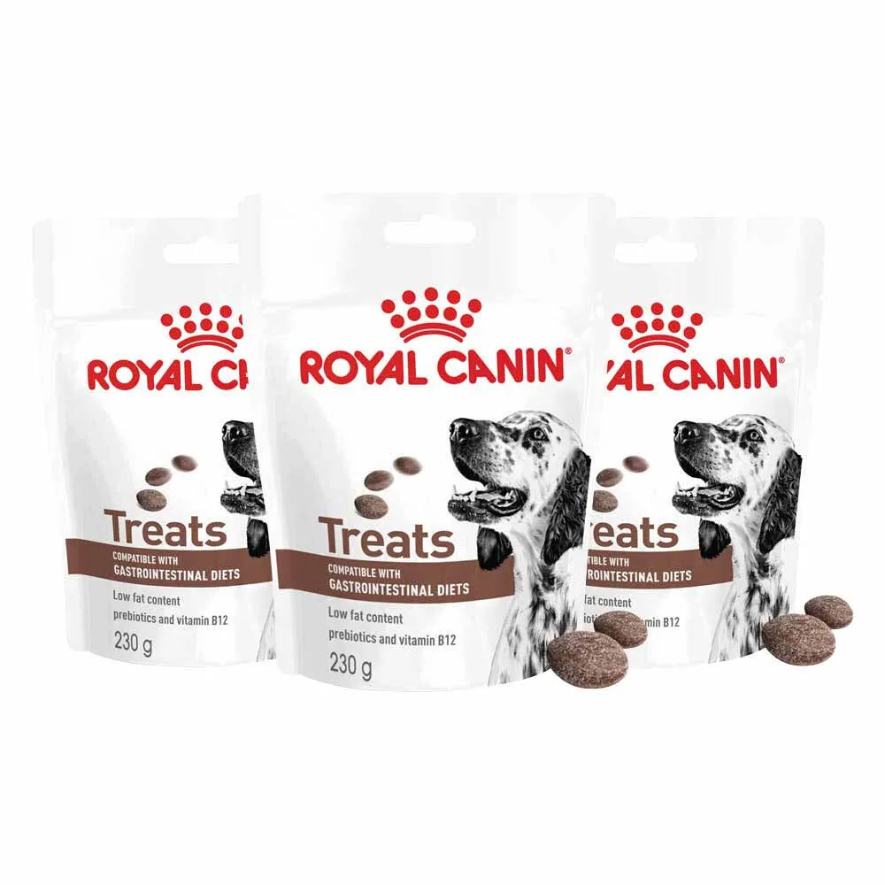 3x Royal Canin Hondensnack Gastrointestinal Treats 230 gr de Royal Canin – photo produit