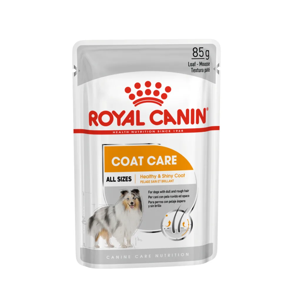 48x Royal Canin Coat Care Hondenvoer Nat 85 gr von Royal Canin – Produktfoto
