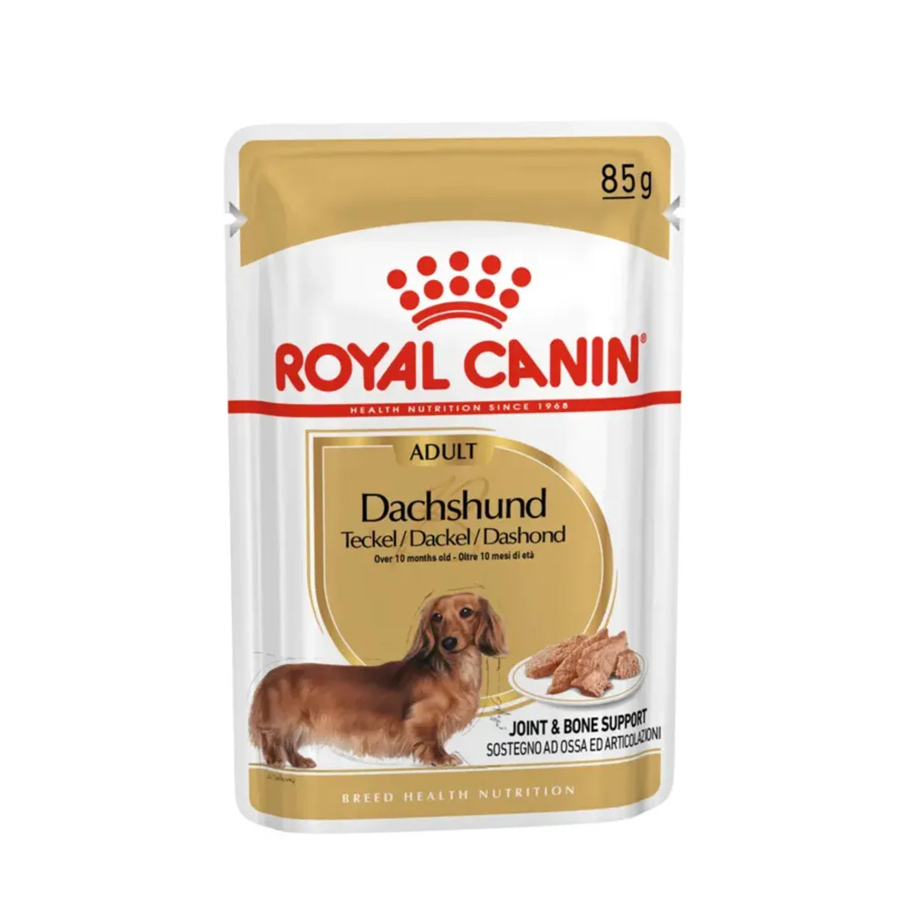 48x Royal Canin Dachshund Adult Hondenvoer Nat 85 gr fra Royal Canin – produktbillede