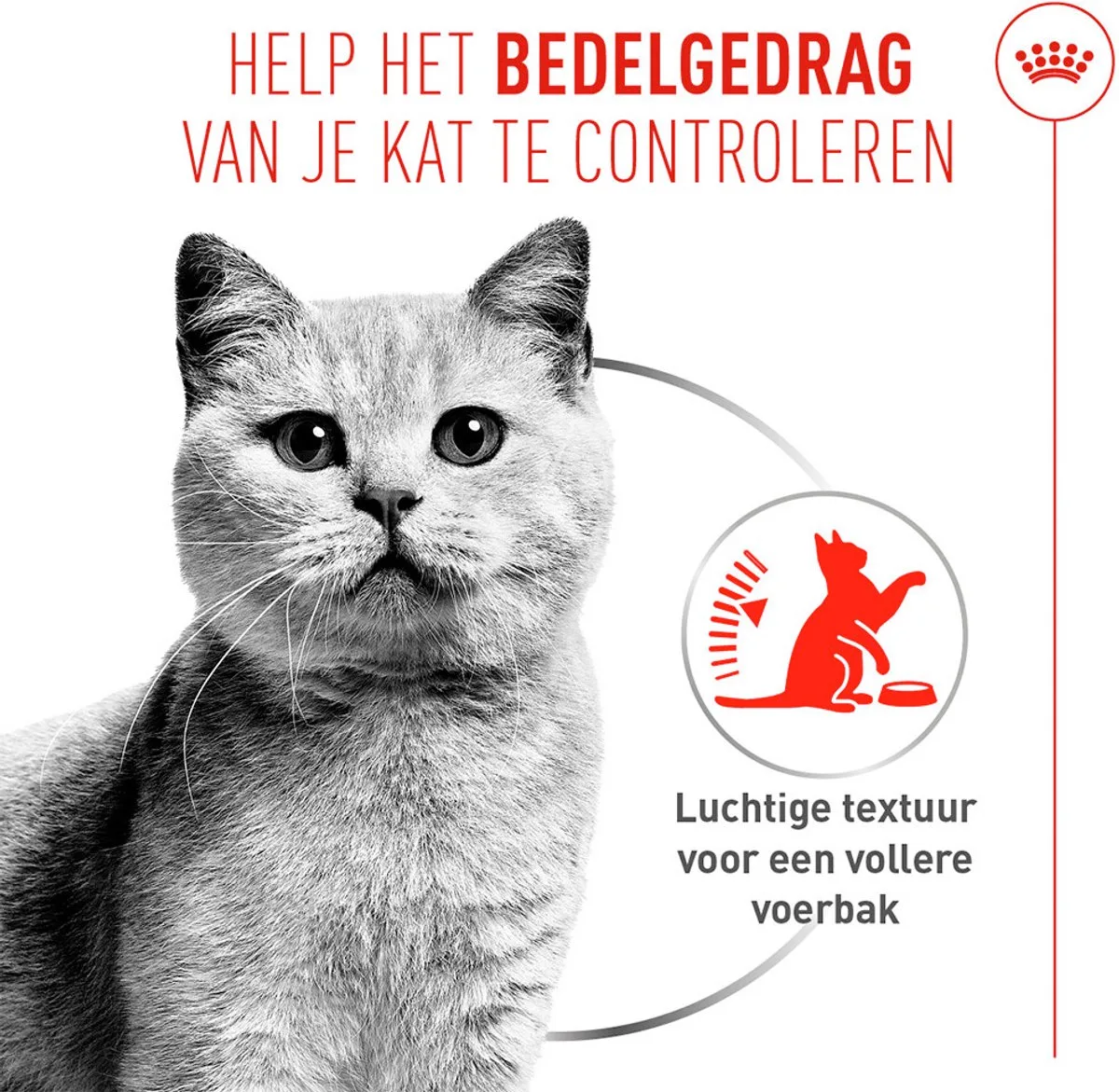 FCN Appetite Control Airlift Loaf 12 x 85 g - 1.020 g von Royal Canin – Produktfoto