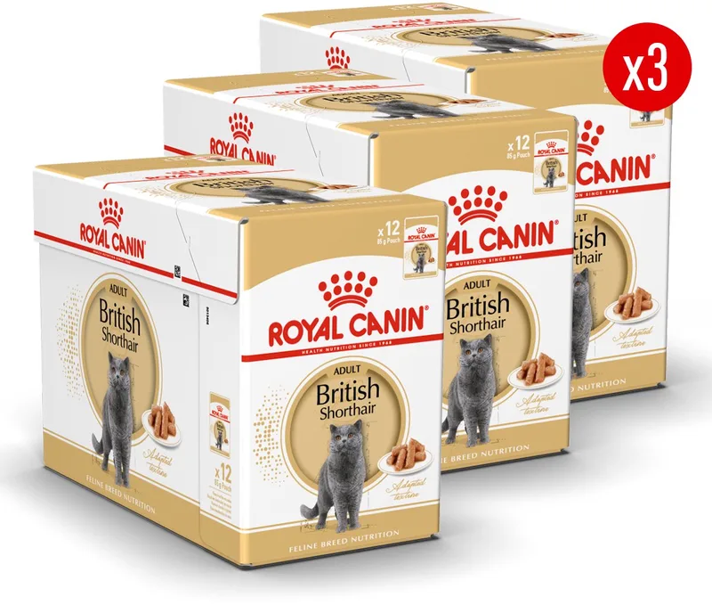 British Shorthair Adult in Loaf - Kattenvoer - 36x85g - Brits korthaar by Royal Canin – product photo