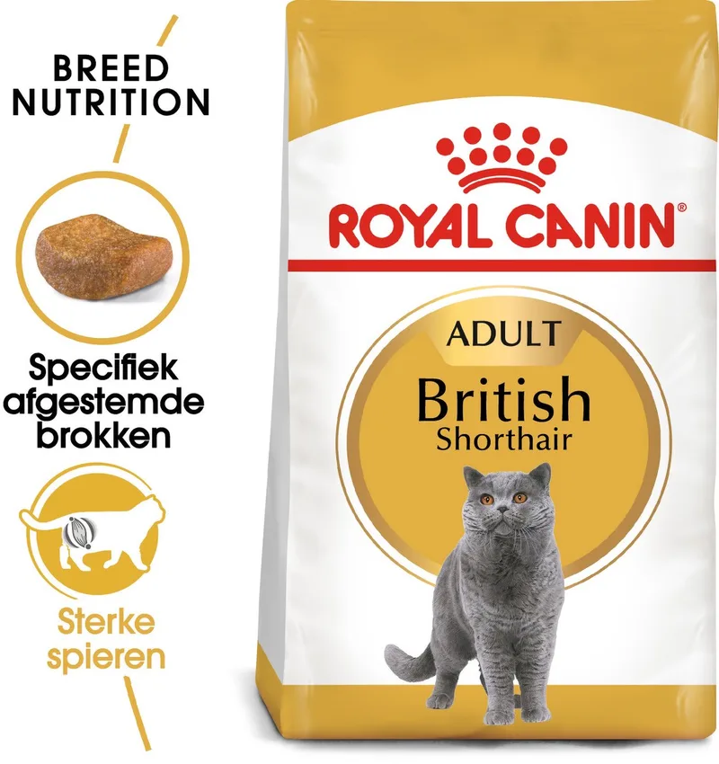 British Shorthair Adult - Kattenvoer - 2 kg - Brits korthaar von Royal Canin – Produktfoto