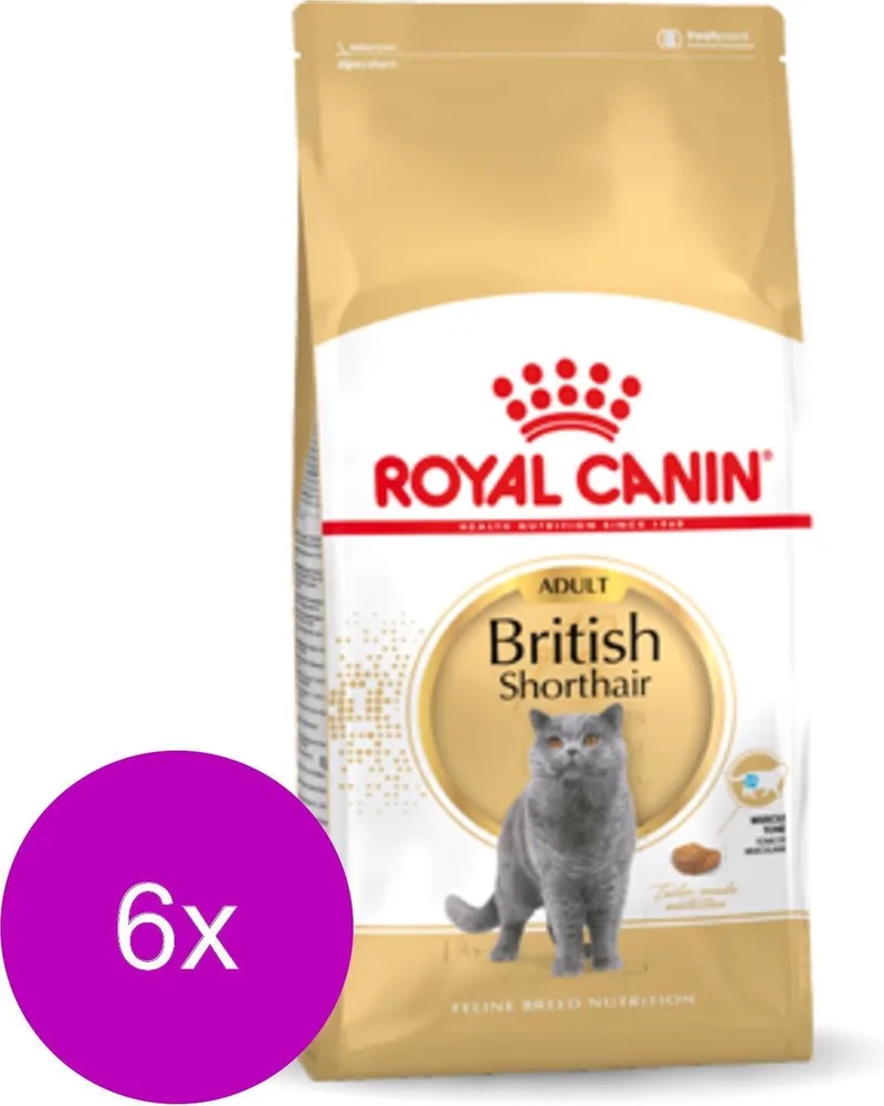 British Shorthair Adult - Kattenvoer - 6 x 400 g von Royal Canin – Produktfoto