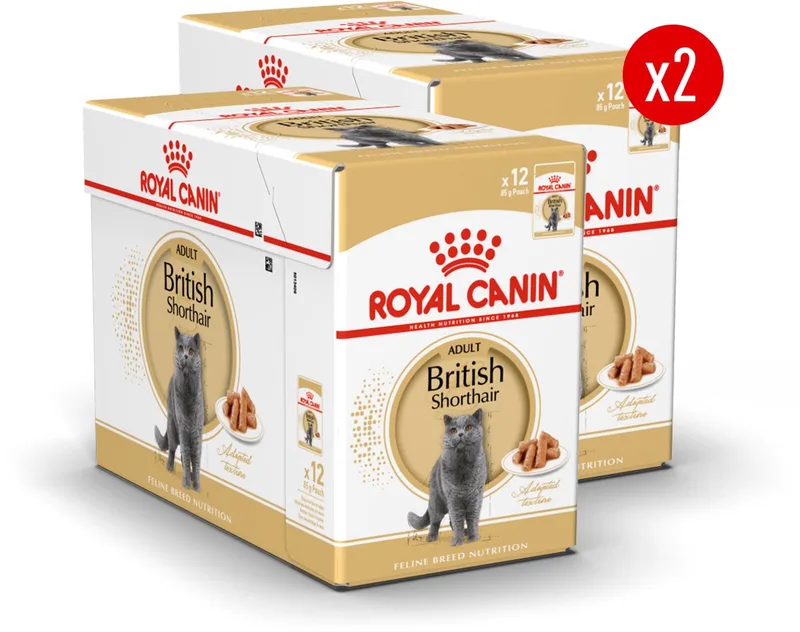 British Shorthair Adult Wet - 24 x 85 g - Katten Natvoer - Voordeelverpakking by Royal Canin – product photo