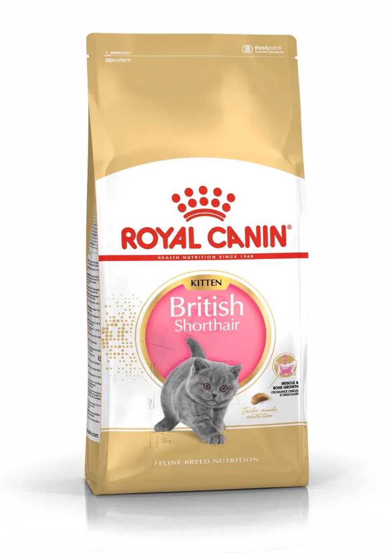 British Shorthair Kitten - 2 kg - Katten Brokken de Royal Canin – photo produit