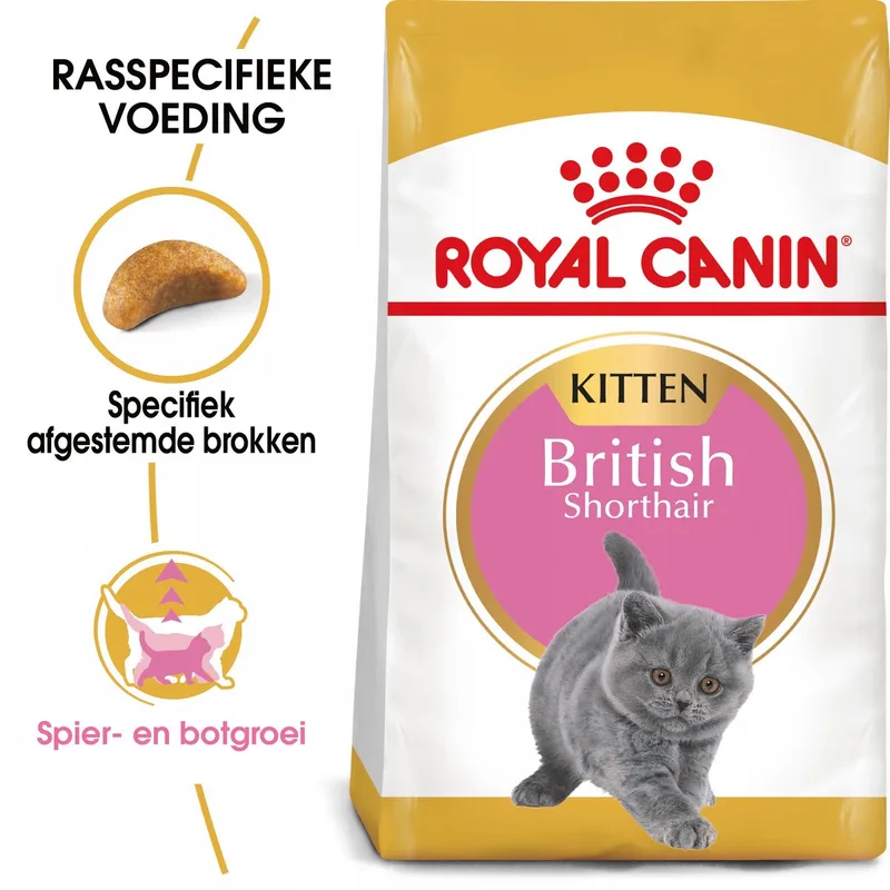 British Shorthair Kitten - Kattenvoer - 10 kg - Brits korthaar by Royal Canin – product photo