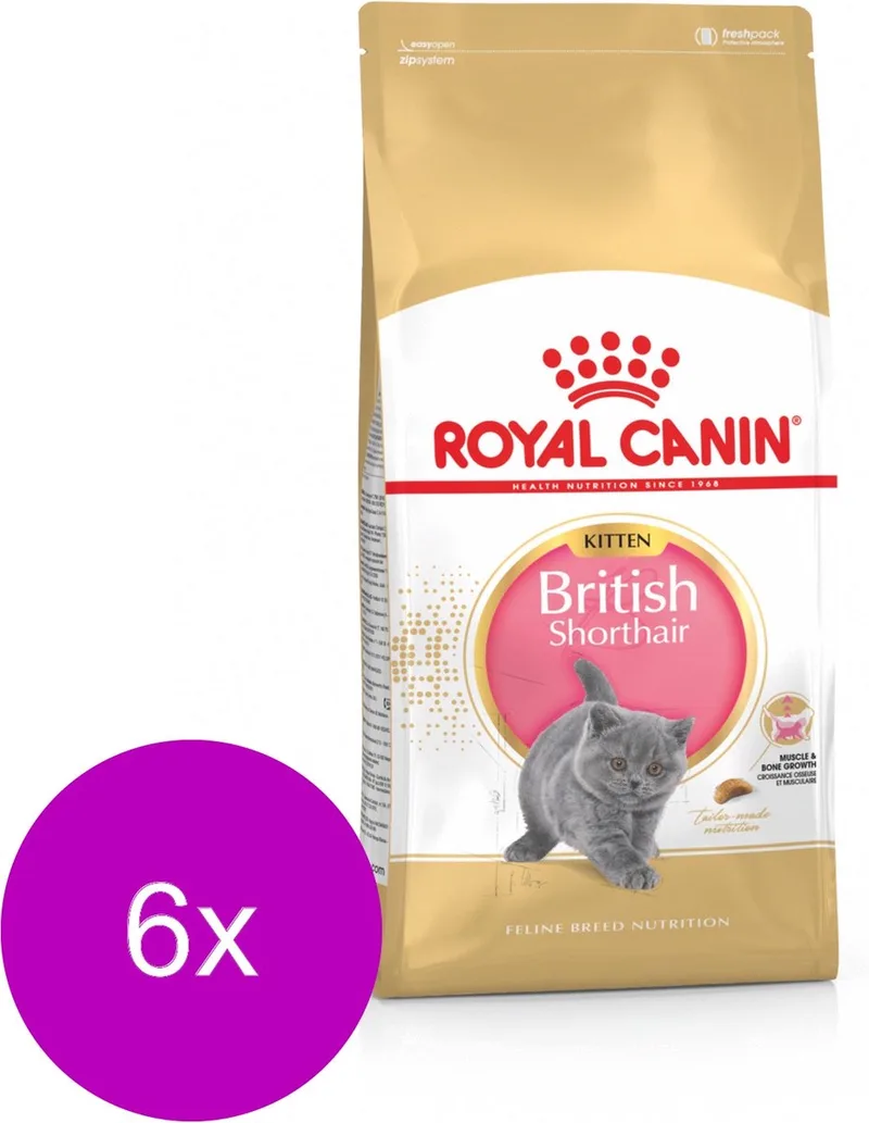 British Shorthair Kitten - Kitten-Kattenvoer - 6 x 2 kg von Royal Canin – Produktfoto