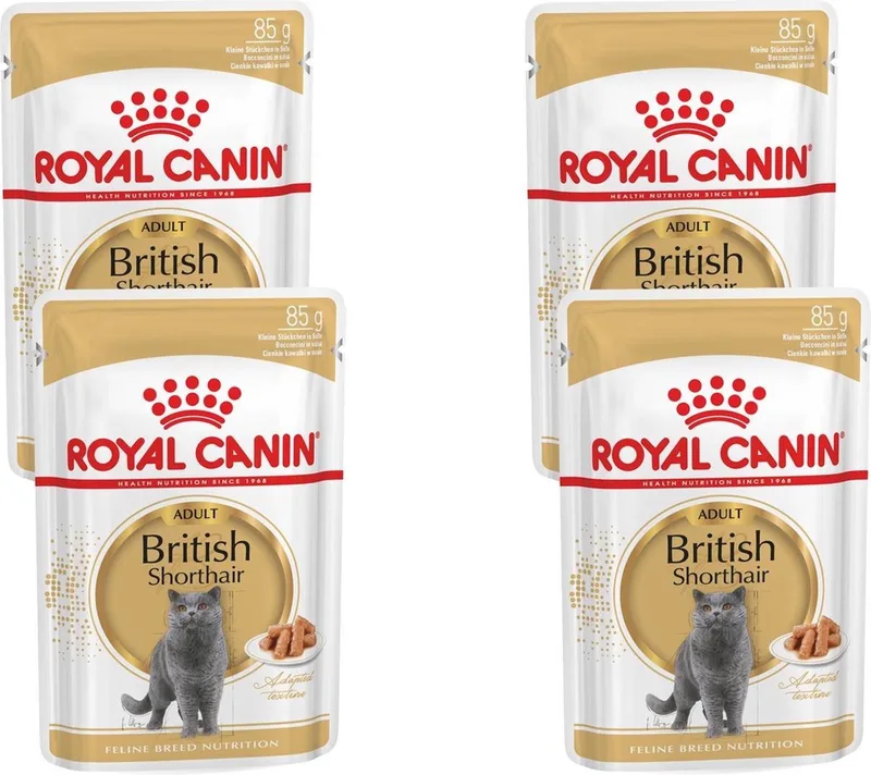 British Shorthair Loaf Kattenvoer Nat - 48 x 85 gr von Royal Canin – Produktfoto