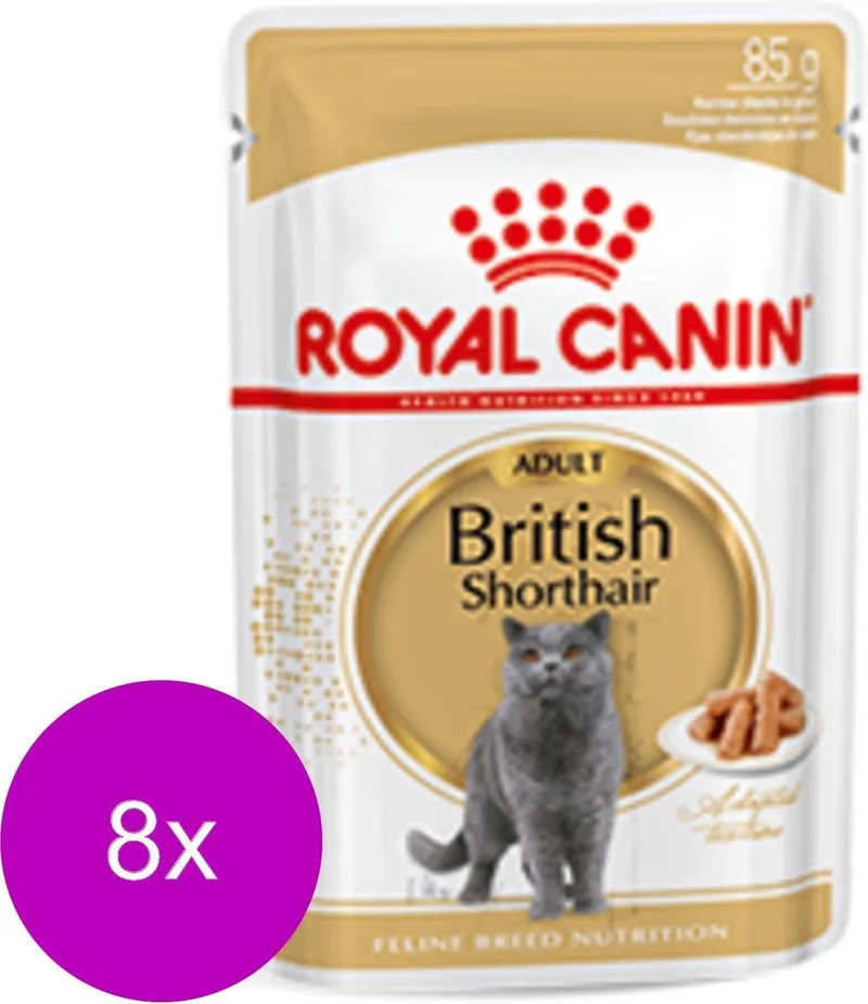 British Shorthair Loaf Kattenvoer Nat - 96 x 85 gr de Royal Canin – photo produit
